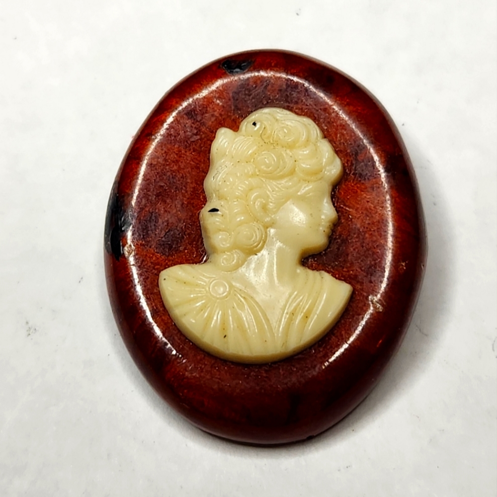 Vintage Lucite Molded Cameo On Wood Background Pin Brooch